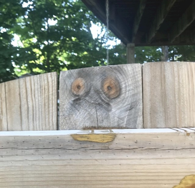Netko je na ogradi ugledao šokirano lice.