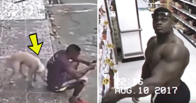 VIDEO Mislili su da ovo nitko neće vidjeti: 10 najčudnijih stvari koje su snimile nadzorne kamere