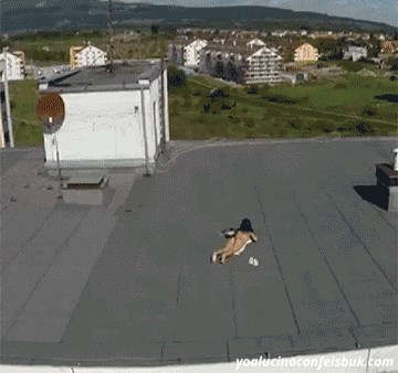 Dron je snimio nešto što nitko nije smio vidjeti, a onda je djevojka krenula u napad