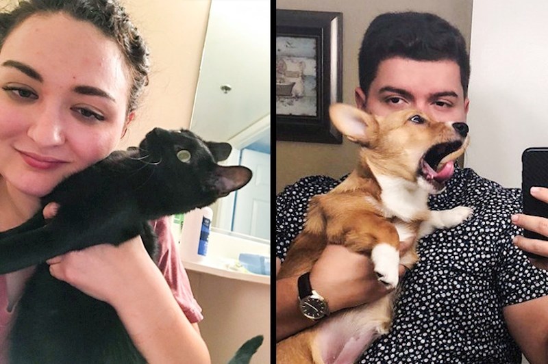 Slikanje selfija s kućnim ljubimcima je gotovo nemoguća misija.