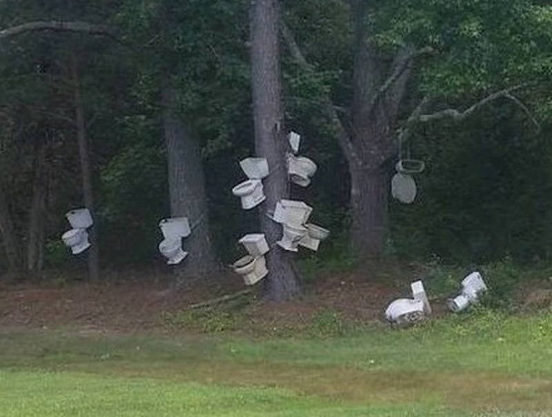 U ovoj strašnoj šumi se svatko usere.