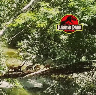 OŽIVJELI DINOSAURE Pogledajte što se dogodilo kad su video ovih životinja pustili unatrag