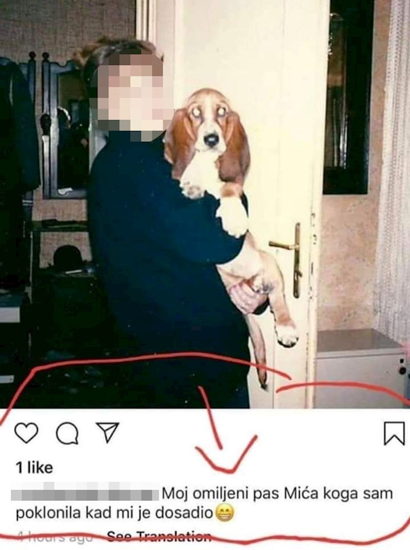 Pogledajte što je napisala: