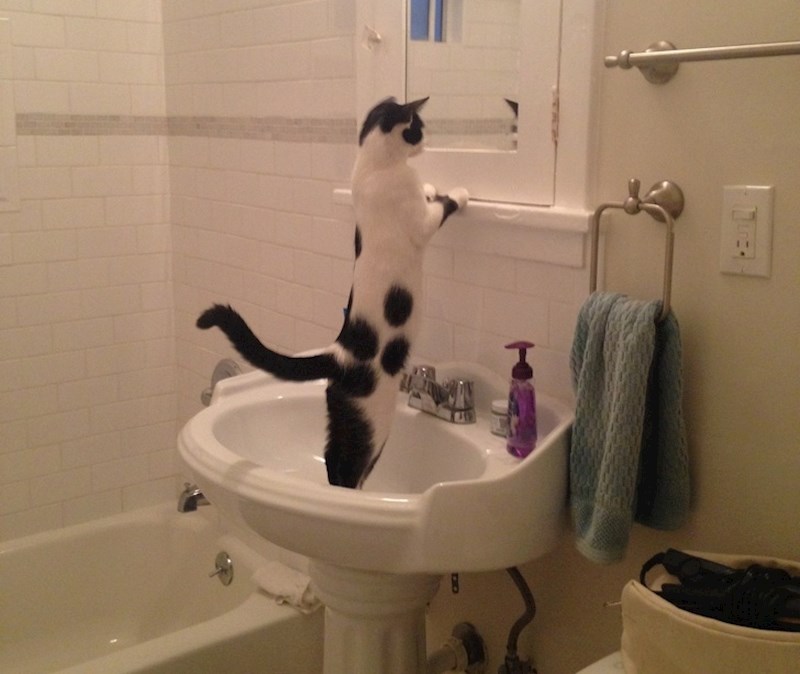 "Kako možeš biti tako lijepa?"