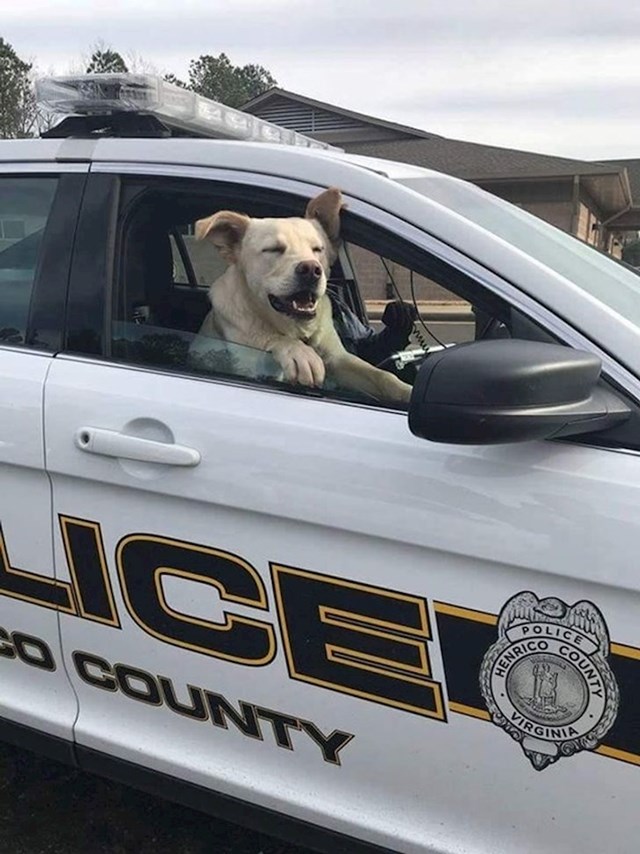 "Ovaj pas se izgubio. Policajac mu je pomogao da se vrati svojoj obitelji."