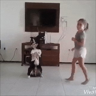 Klinka spremna za Supertalent: Počela je plesati pa dodirnula psa i pokazala najbolji dio izvedbe