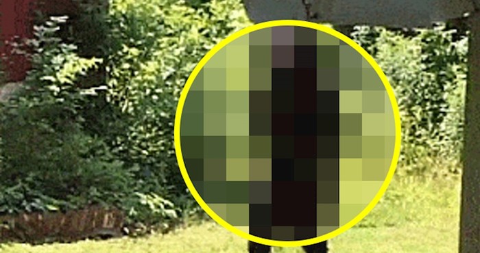 Lik je ugledao prečudan prizor u dvorištu, pažljivo je sve snimio mobitelom