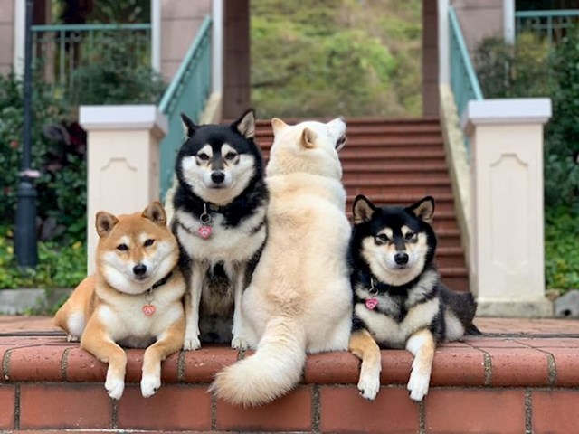 #4