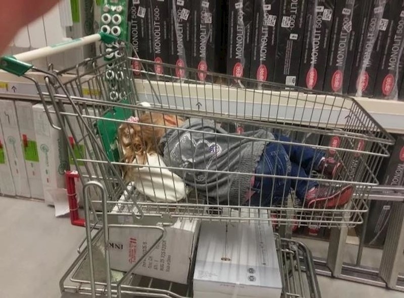 Našla je sebi novi krevet.