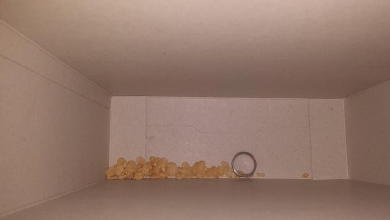 "U kutiji kukuruznih pahuljica sam našla mužev vjenčani prsten... Što?!!!"