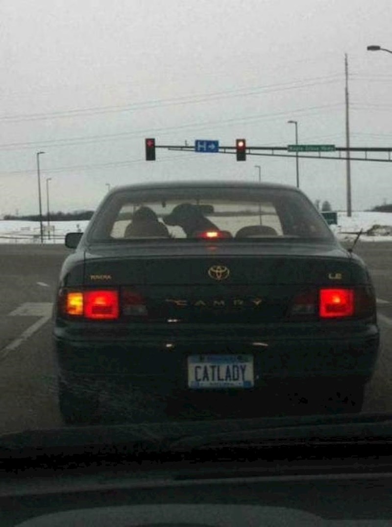 Na registarskoj tablici joj piše da voli mačke, a u autu vozi psa. Hmmm...