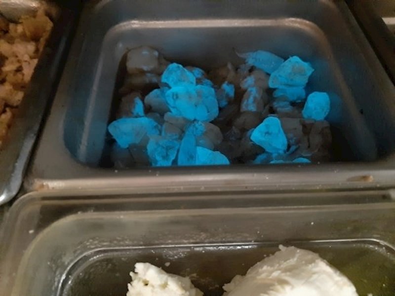 Škampi koji svijetle jer su jeli bioluminiscentne planktone