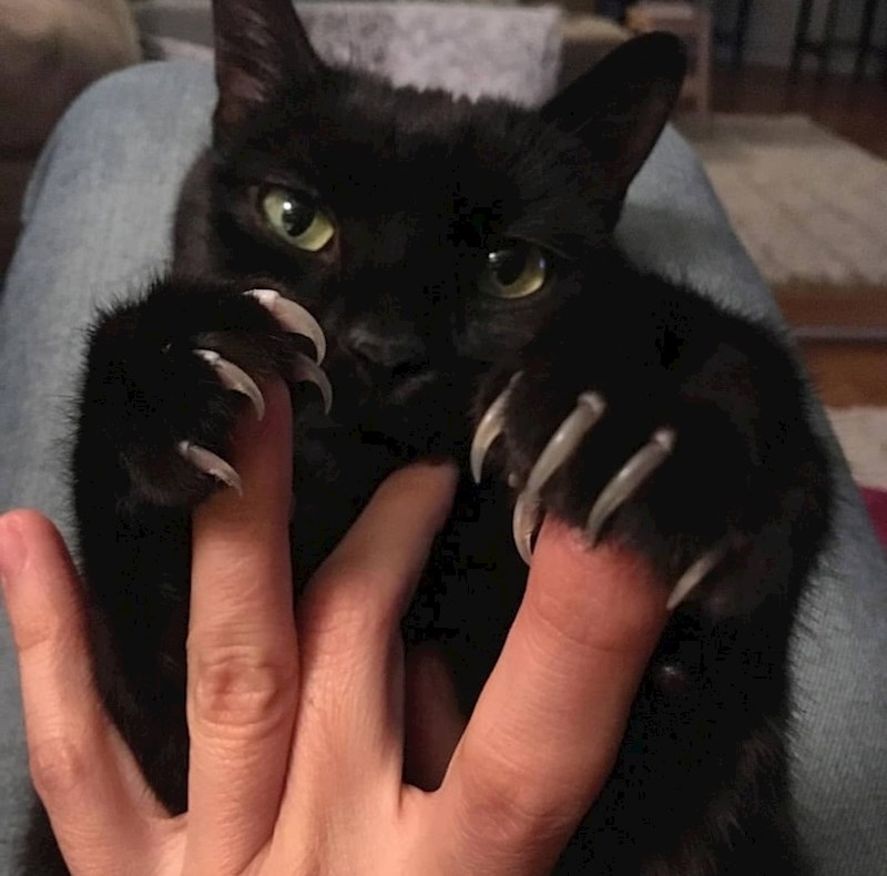 "Wolverine nema šanse protiv mene."