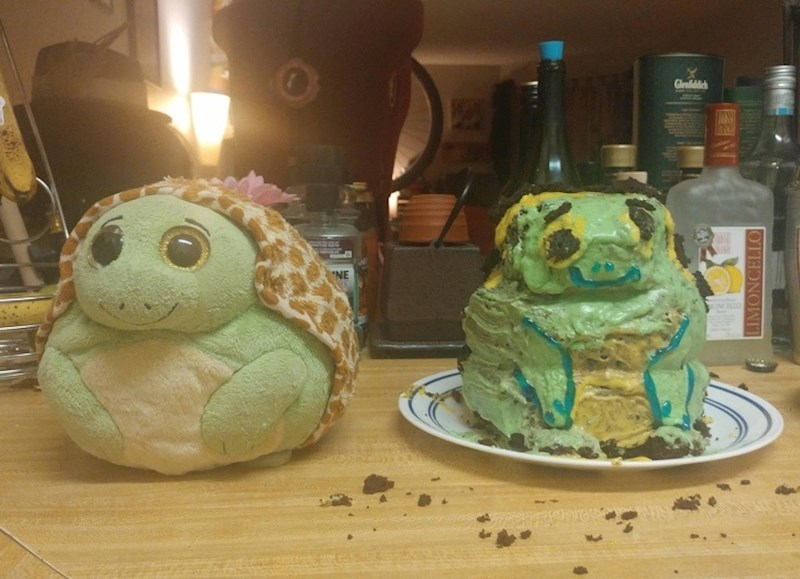 Ova kornjačica ne izgleda baš kao da je sretna svojim izgledom.