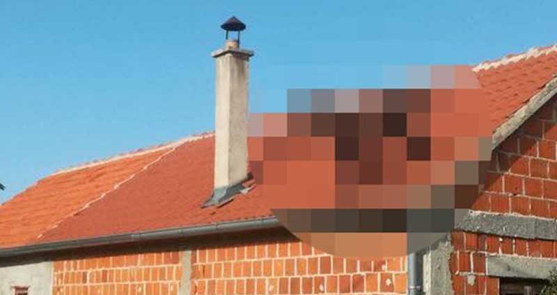 Čovjek se vratio kući, na krovu svog doma je našao nešto što nije očekivao