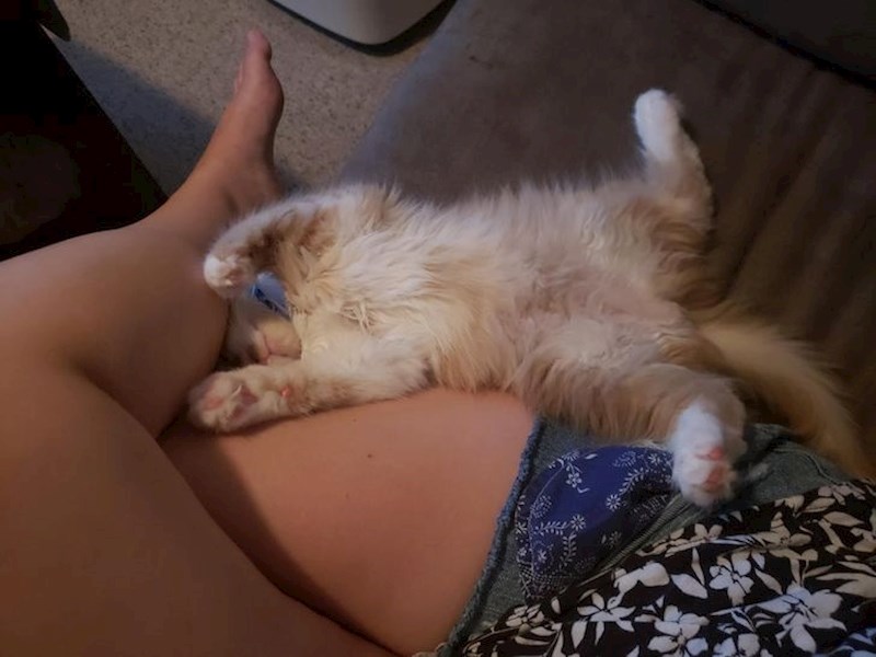 "Pogledajte kako je zaspao!"