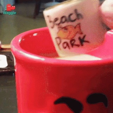 Malo tko ima kućnog ljubimca s kojim može u miru popiti kavu