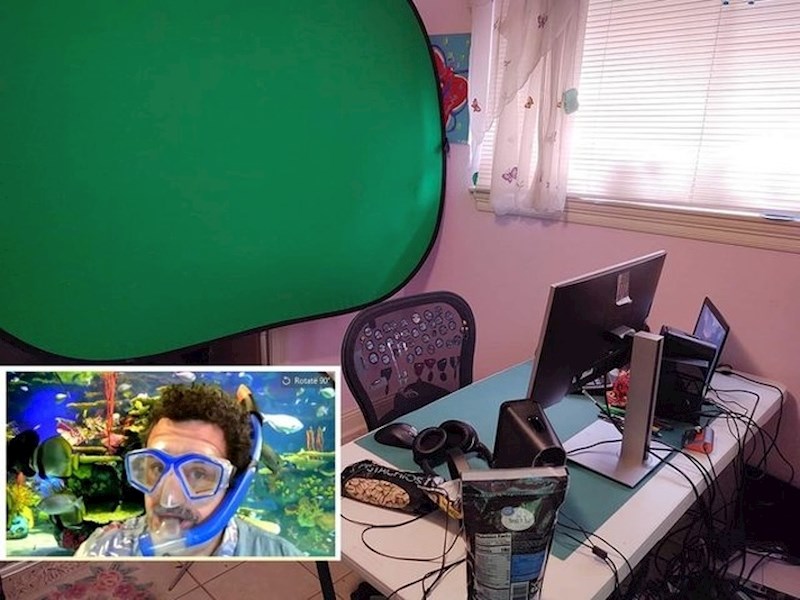 Lik je bio na video pozivu s drugim kolegama s posla. Zabavljao ih je svojom maskom i pozadinom...