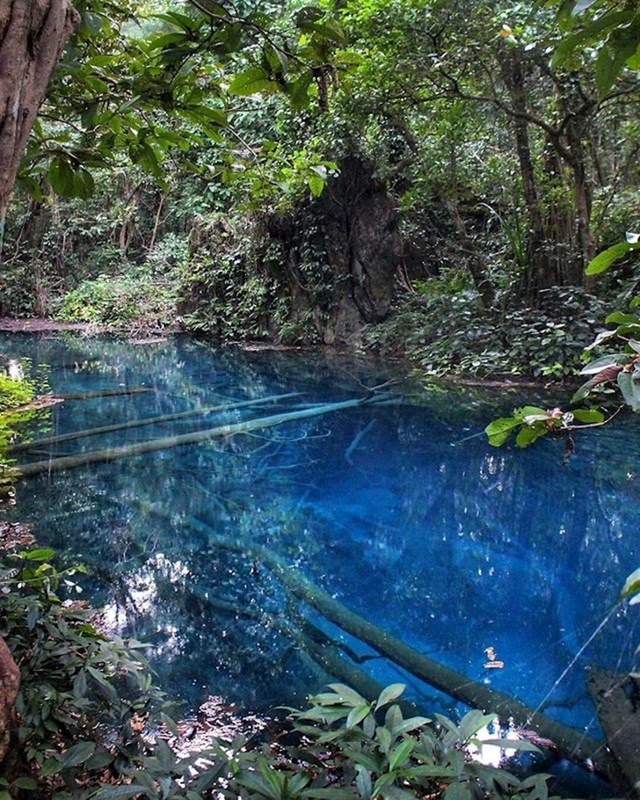 Misteriozna džungla s prekrasnom plavom vodom...