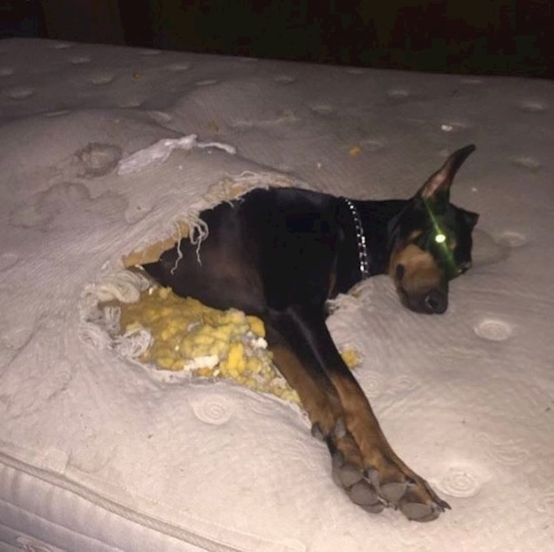 Nije imao pokrivač pa je smislio rješenje.