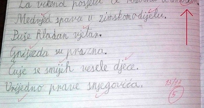 Dijete je napravilo grešku u diktatu, no učiteljica iz Imotskog nije imala srca prekrižiti ovu riječ