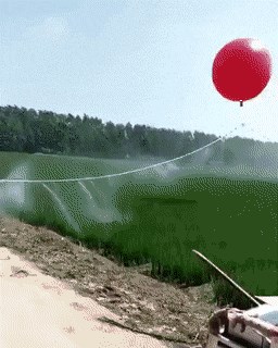 Ovi genijalci su dokazali da za zalijevanje ogromne plantaže nije potrebno puno vremena i radne snage