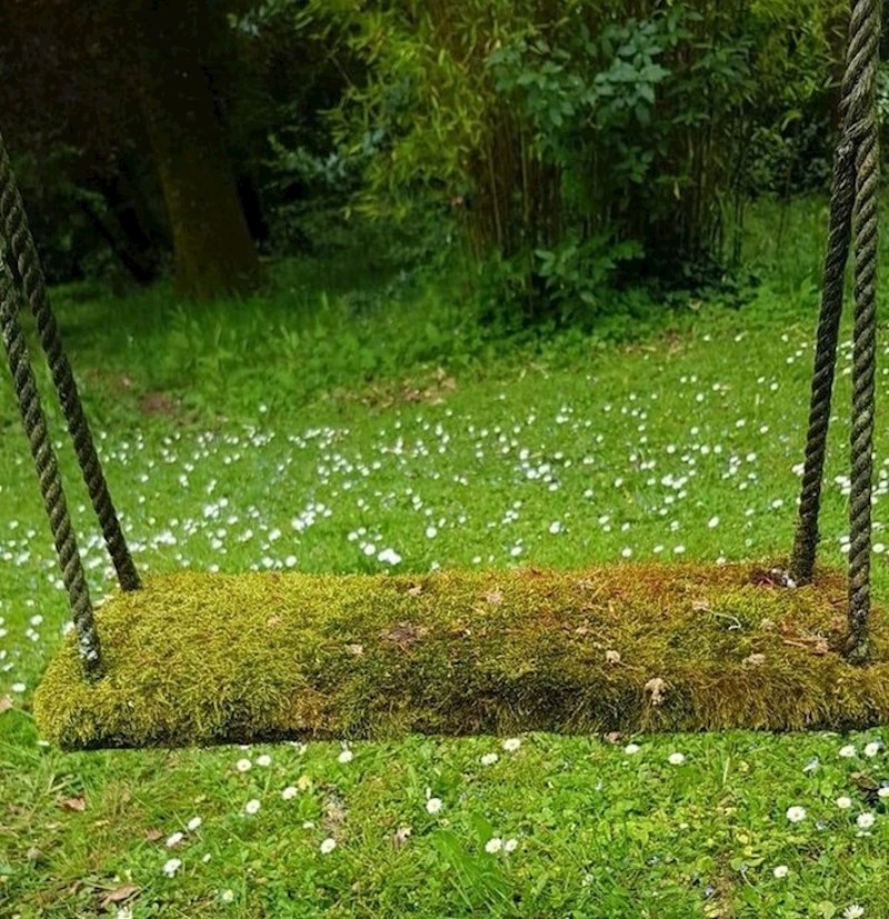 Ovu ljuljačku jako dugo nitko nije koristio. Prekrila ju je mahovina.