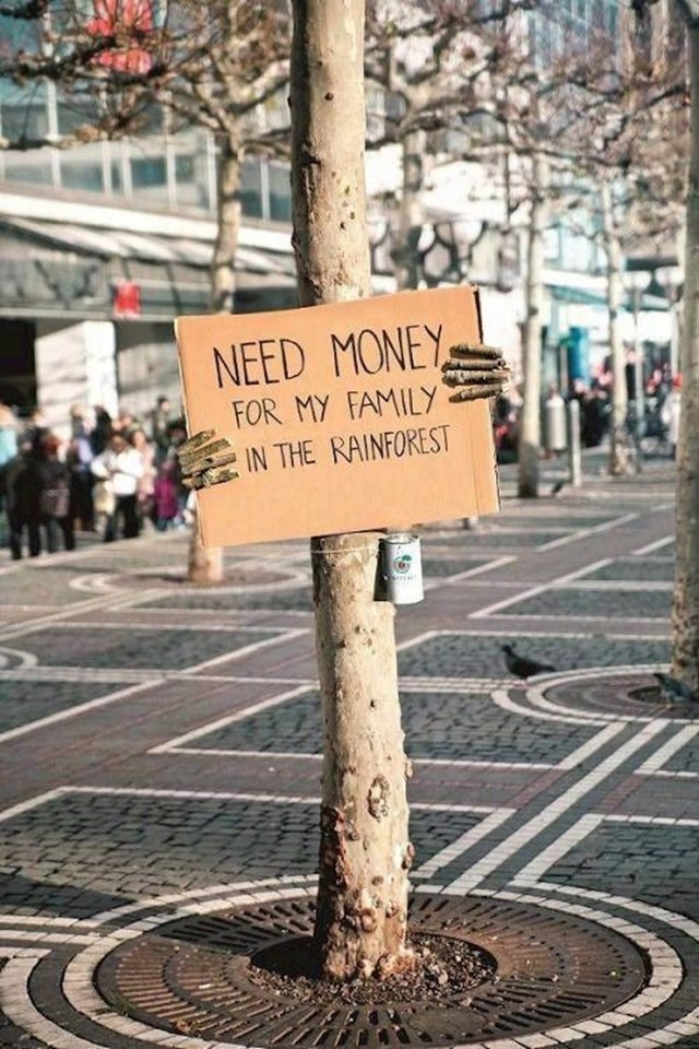 Kreativan način skupljanja novca za borbu protiv sječe prašuma