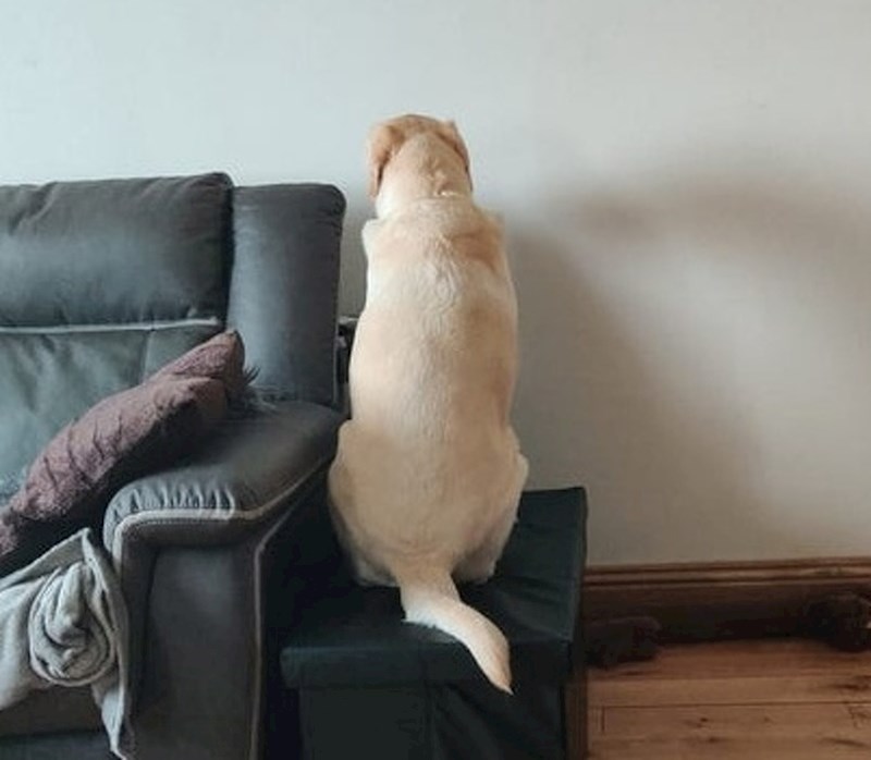 "Osjećao sam krivnju jer se nisam mogao igrati s njim dok radim. Evo kako je on reagirao."