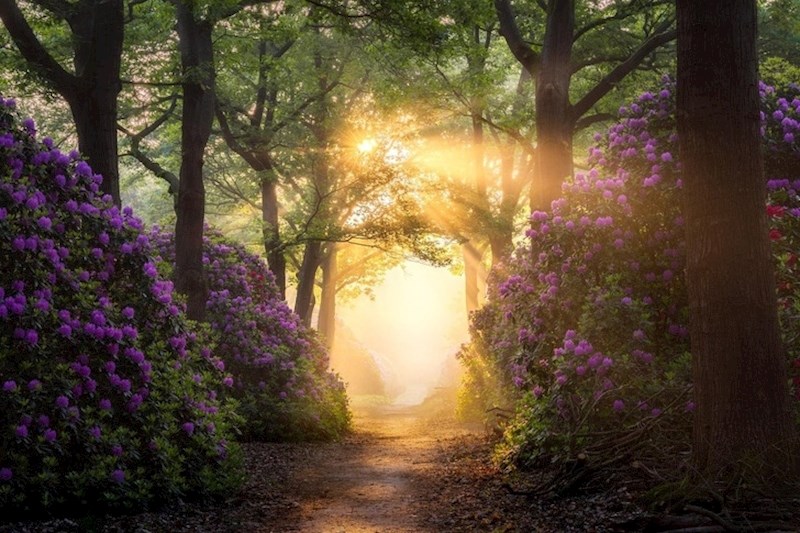 Prizor koji izgleda kao da je iz neke bajke...