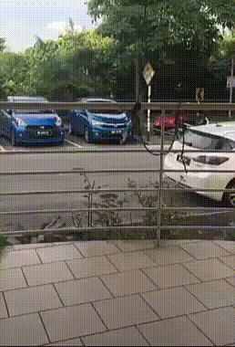 MAJMUNSKA POSLA Vozač nije znao gdje su mu tablice, kasnije je vidio ovu snimku