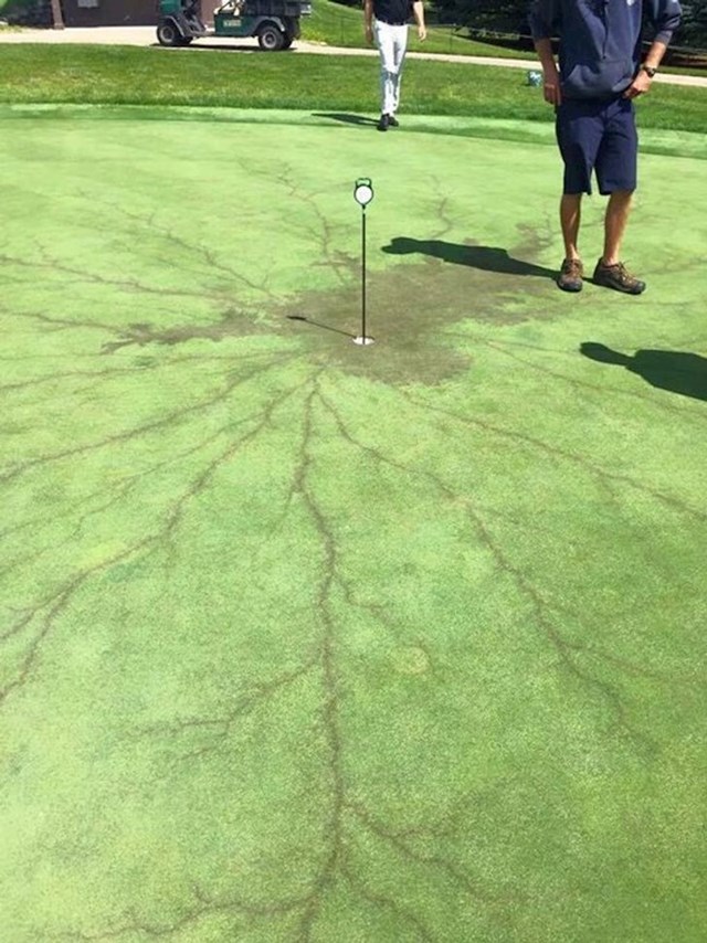 Pogledajte što se dogodilo kad je munja pogodila rupu na golf terenu.