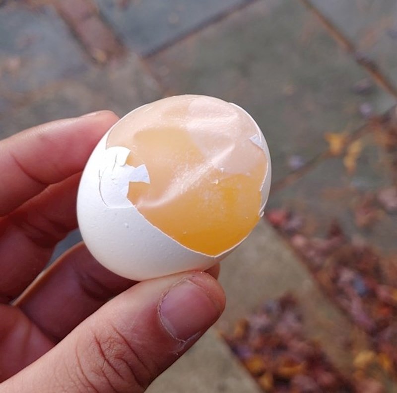 "Jutro sam pokušao razbiti jaje, pogledajte što se dogodilo."