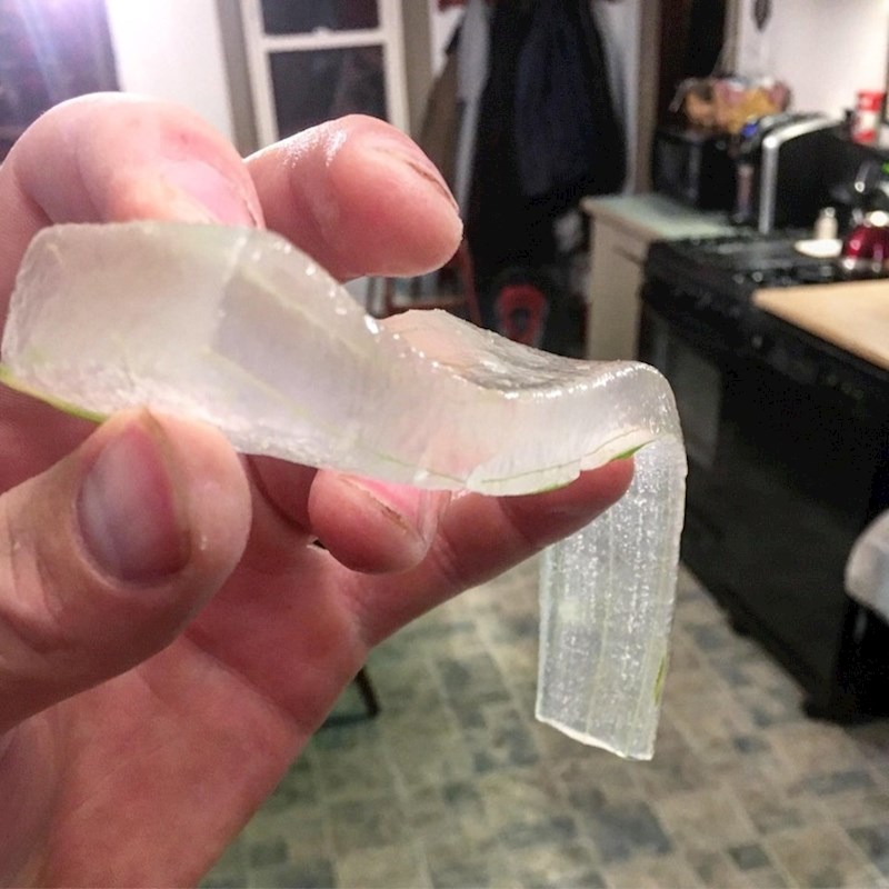 Aloe vera izgleda kao ljigavi led.