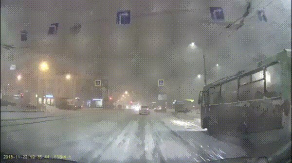 Vozač je stao na raskrižju i auto kamerom snimio najčudnijeg "pješaka" ikad