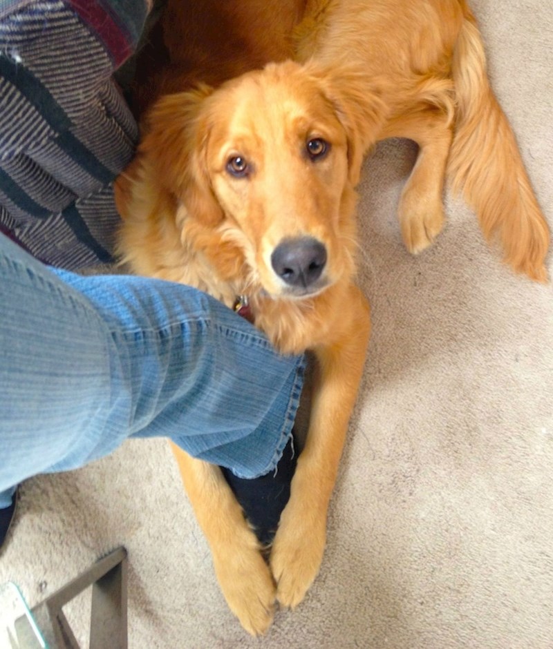 Ono kad te pogledom mole da ostaneš kod kuće...