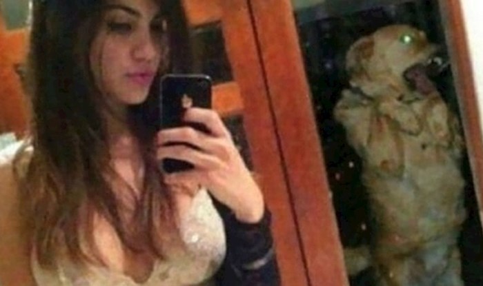 25 smiješnih slika ljudi koji su prije fotkanja trebali malo bolje pogledati oko sebe