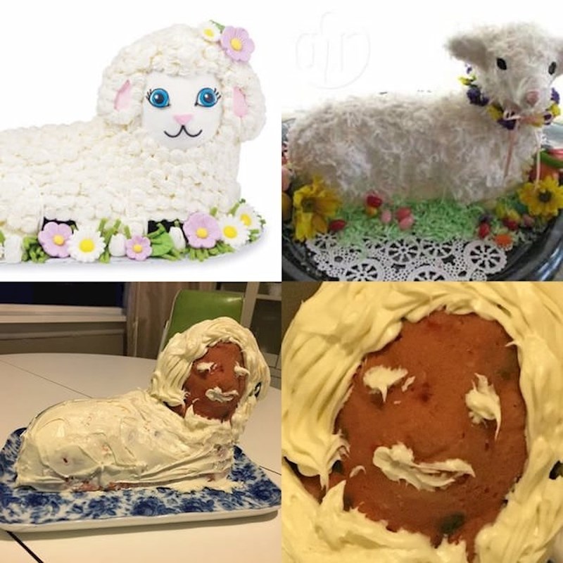 Ovo je trebala biti ovčica. Naravno, na slikama je izgledalo bolje.