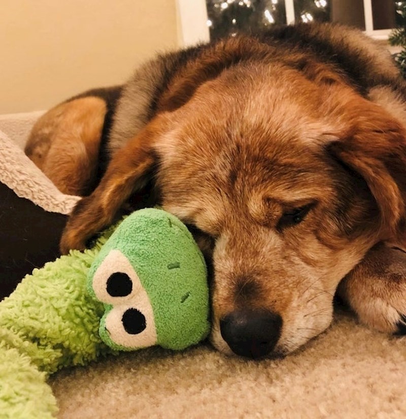 "Uskoro će imati 18 godina. Još uvijek spava s plišanom žabom koju je dobila prije 14 godina."