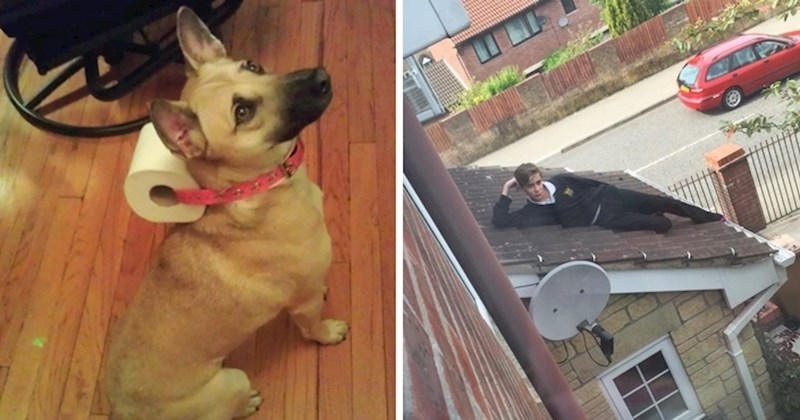 10 smiješnih slika koje pokazuju što se događa kad imaš čudne susjede