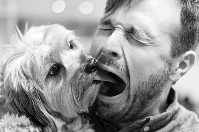 Pas je htio polizati vlasnika, no muškarac je baš u tom trenutku otvorio usta.