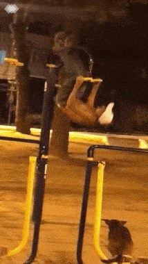 Muškarac otišao na večernji trening, njegov pas se pridružio i vježbao na vlastiti način