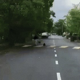 Ovakav napad nikad nije očekivala: Pogledajte tko joj je pokušao "ukrasti torbicu"