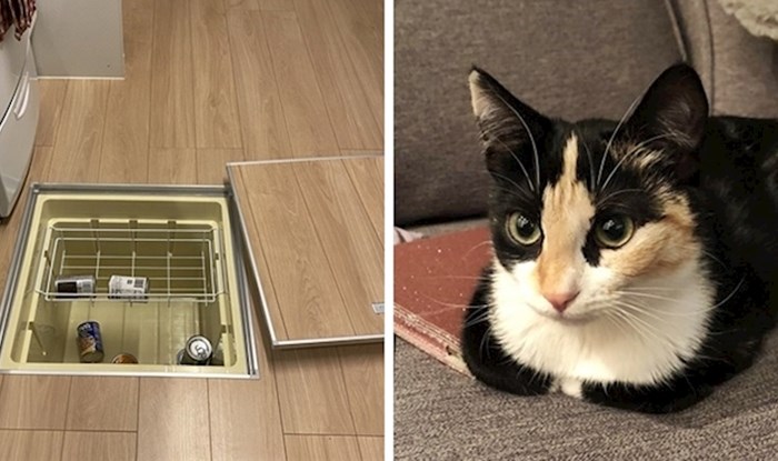 16 ljudi slikalo je zanimljive prizore koji se ne viđaju često