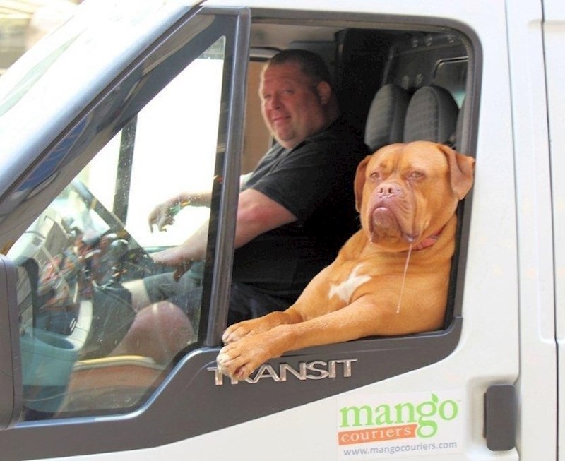 "Hej buraz, kaj ima?"