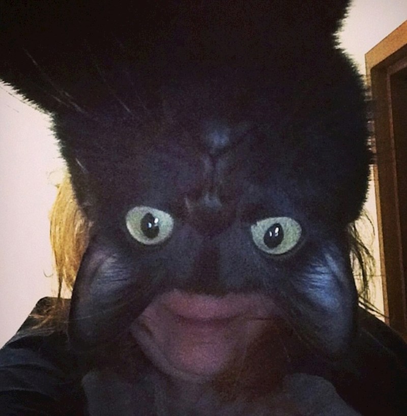 Catman?