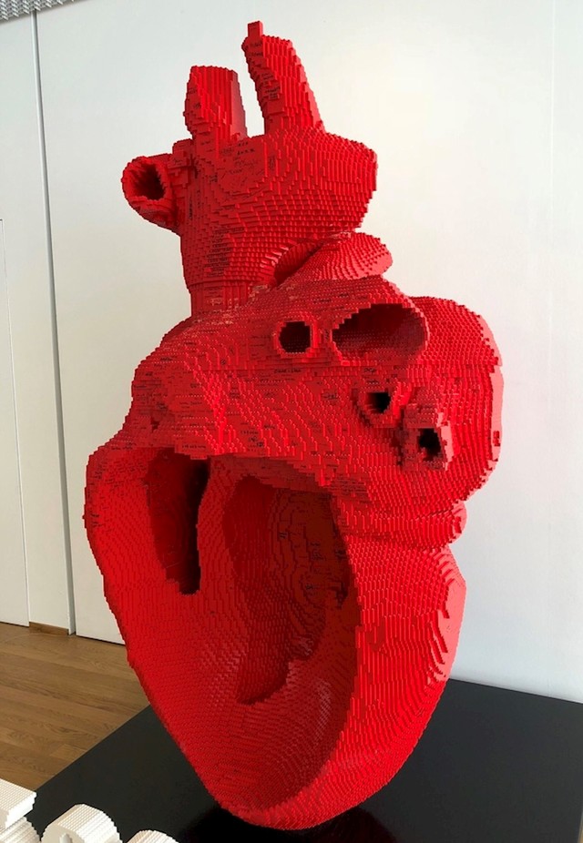 Veliko anatomski ispravno srce napravljeno od LEGO kockica