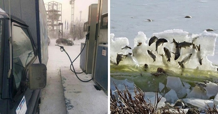 Ovim ljudima nije trebao Photoshop, uspjeli su slikati rijetke prizore koji će vas zabaviti