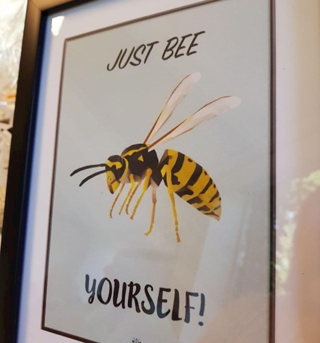 Pčela ili osa?