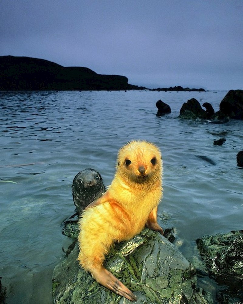 Ne, ovo nije fotošopirano. 🙂